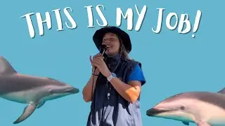 What It’s Really Like Being a Swim Guide 🐬 | A Day at Work