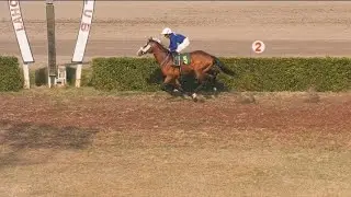 4th Race The Steward's Cup Distance 1400 Meters Winner Jupiter ( Pakistan Horse Racing )  Awais 