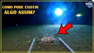Cientistas acabam de descobrir criaturas INCR&Iacute;VEIS NUNCA VISTAS no fundo do oceano