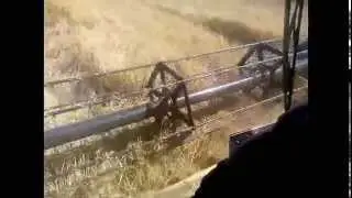 Barley Harvest 2014