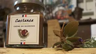 Ch&acirc;taigne de Collobri&egrave;res : le vrai m&eacute;tier de castan&eacute;icultrice avec Babeth
