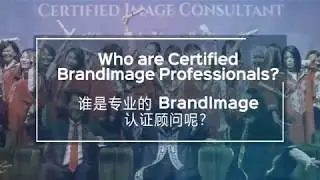 2019 - BrandImage International Institute Corporate Video (HQ)
