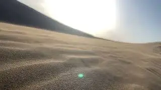 Relaxing camel walking on desert sand 🐪 | Nature & calming sounds
