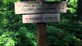 Multnomah Falls to Wahkeena Fall Hike Guide