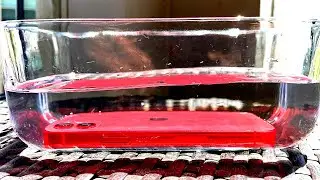 RED iPhone 12 - 1 Hour in Water (Actually Waterproof?)