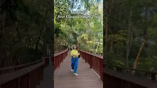 Is this really MUMBAI 🌳