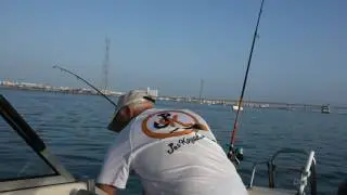 PESCA EN LA BAHIA DE CÁDIZ  24 MAYO 2016 video de Antonio Jimenez Bernal