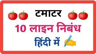 10 lines on TOMATO IN Hindi/10 lines essay on tomato 🍅 in hindi/टमाटर पर 10 लाइन ( वाक्य )