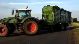Kiszonka 2016 w Rozmierzy ☆ Fendt 412 ☆ Fendt 514 ☆ Fendt 824 & Bergmann Carex 38 S