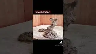 New Aquascape being built | reef tank evolution