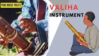 #valiha Instrument#