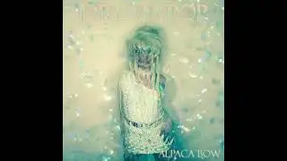 Dream Pop - Alpaca Bow