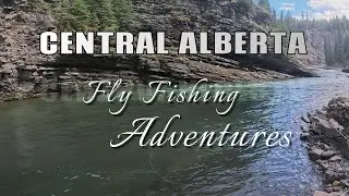 Chasing Cutthroat in Central Alberta = Pure Magic