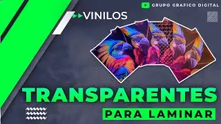 ✅ VINILOS TRANSPARENTES PARA LAMINAR ✅ Conoce los estilos de vinilos para proteger tus impresiones.