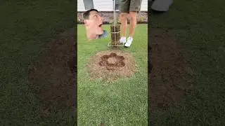NOT a Rock&hellip; This Time - Explained