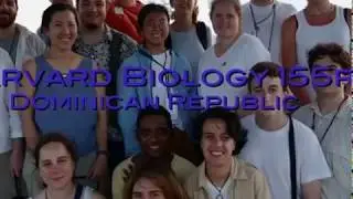 OEB 156. Tropical Insect Systematics, Spring 2002