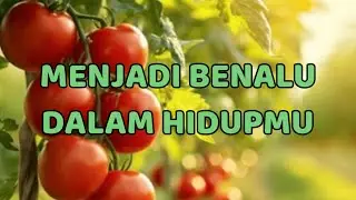 🎆 MENJADI BENALU DALAM HIDUPMU 🎆
