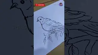#drawing #hariarts # #art #dove #pigeon #pigeonart #simpleart #artshorts #painting #coloring #hari