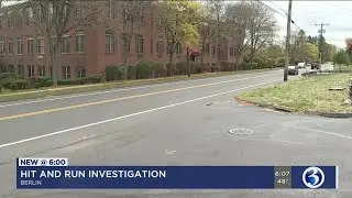 Video: Person killed in Berlin hit-and-run