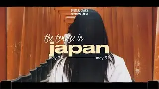 9 days in japan 🇯🇵 | (temples, teamlab, disneysea, your name pilgrim, universal studios & more)
