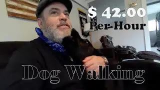 Make $42.00 per hour walking dogs