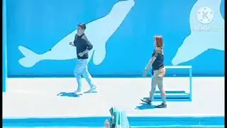 Bird show at manila ocean park
