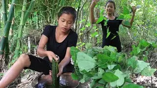 Survival skills in the rainforest: Make Jelly food from natural plants for Lunch ideas