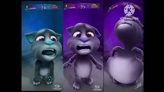 Talking tom colors reverse and 2x swapped effects fail