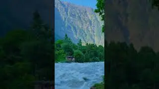 Natural Short Video|Nature Beauty|Nature Status #nature #naturebeauty #naturelovers #naturevideo