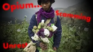 Myanmar's Insane Illegal Economy