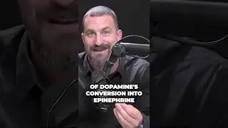 Boosting Your Efficiency Unleashing Dopamines Power for Optimal Performance  Andrew Huberman #shorts