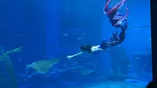 ✨Catching a stingray✨