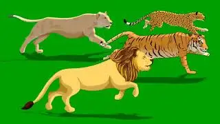 [FREE TO USE] GREENSCREEN : 
