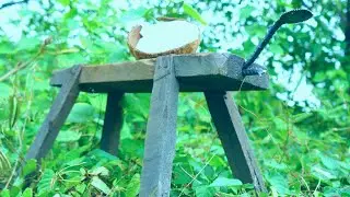 HOW TO MAKE A COCONUT MEAT GRATER QUICK & EASY REMOVAL TOOL