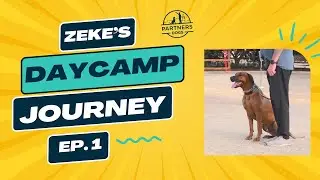 Partners Dog DaySchool Journey | Zeke | Ep. 1