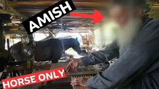 Amish Mennonite 1 Horse Powered Saw