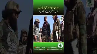 Taliban and India together, a plan to destabilize Pakistan? | SOPT