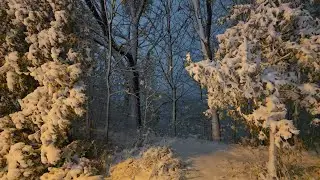 ❄️ Зимний снегопад в Монреале 🌨️ Понедельник, 10 ноября 2025 г. &mdash; вечерняя снежная прогулка 🌃