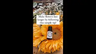 Want to make your flowers last longer?