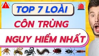 TOP 7 UNIQUE INSECT SPECIES IN VIETNAM