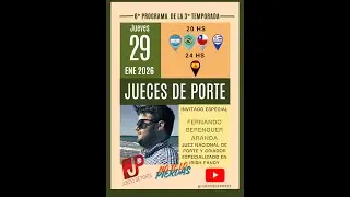 🎯 6° PROGRAMA JP  EL CANARIO IRISH FANCY  #viralshortsvideo  #aves  #irish  #canaricultura #birds 