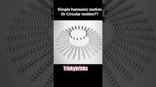 #simple harmonic motion #science #facts #shortvideo #educationalvideo #experiment #trickybricks
