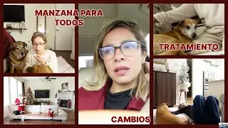 MI VIDA SIN EL...  QUIERO SENTIR MARIPOSAS DE NUEVO... YA LA EXTRAÑO MUCHOS DIAS.