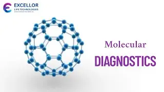 Molecular Diagnostics Explained | Principles and Real-World Applications