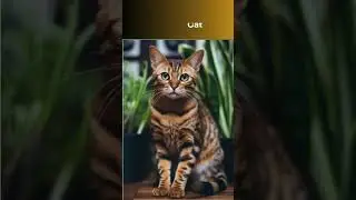 Top 10 best cat breeds in the world! #cat #catbreed #catlover #cute #pets