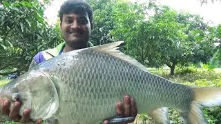 10 KG BIG FISH GRILLED WITH HOT CHEESE | Professional Catla Fish Cutting Skills in Fish Market