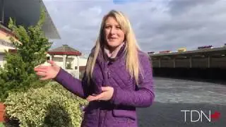 Wolfendale Turns Lifelong Passion Into a Career