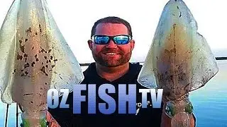 Oz Fish TV Season 3 Episode 13 - Westernport Mega Squid