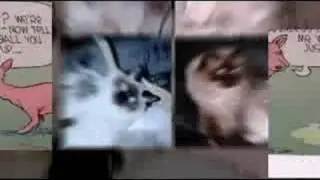 Deszi And Lucy