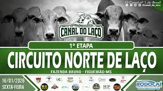 1ª ETAPA - FAZENDA BRUNO - CIRCUITO NORTE DE LAÇO - FIGUEIRAO - MS
